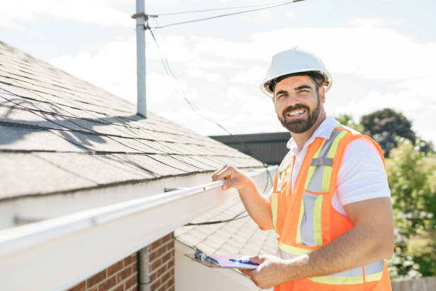 Roof Moss and Algae Removal